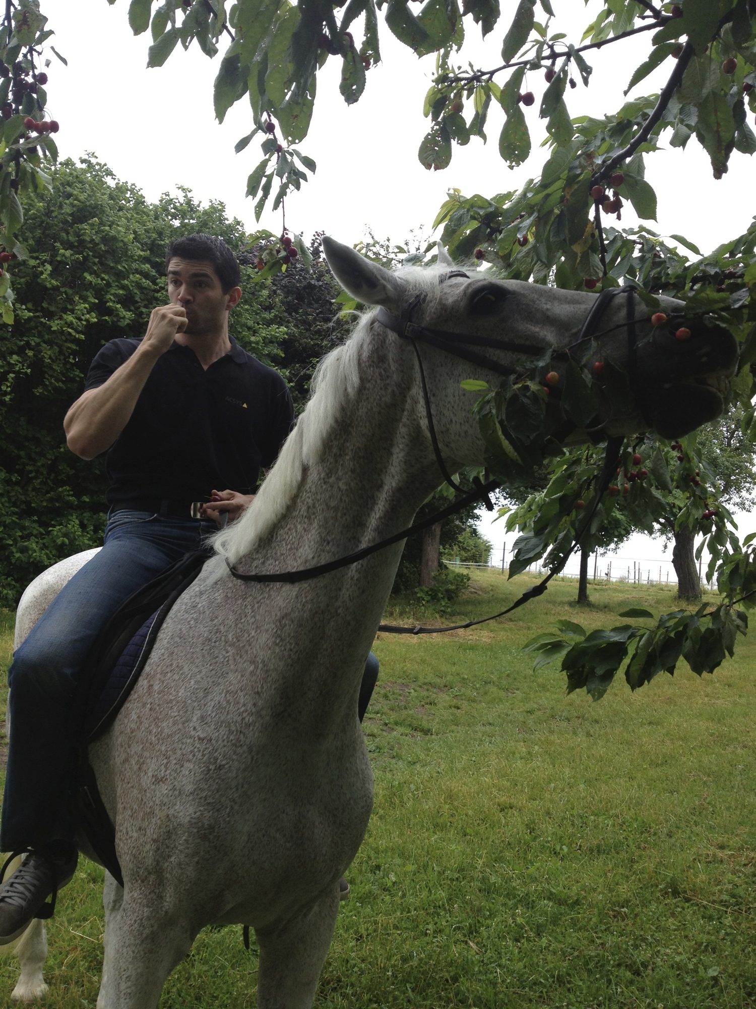 Brokkoli schmeckts es auch...