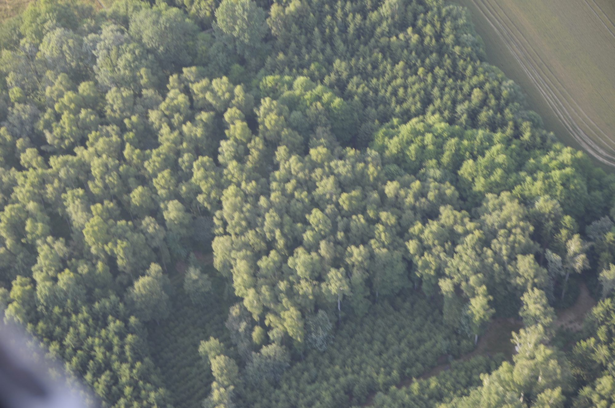 Impressionen auf dem Rückflug nach Taucha