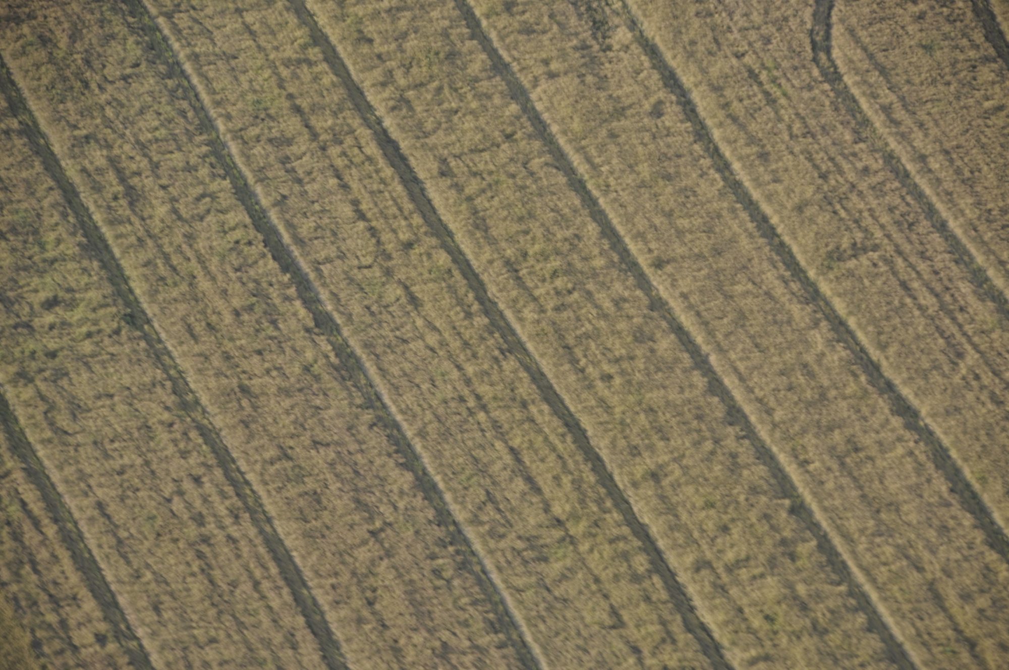 Impressionen auf dem Rückflug nach Taucha