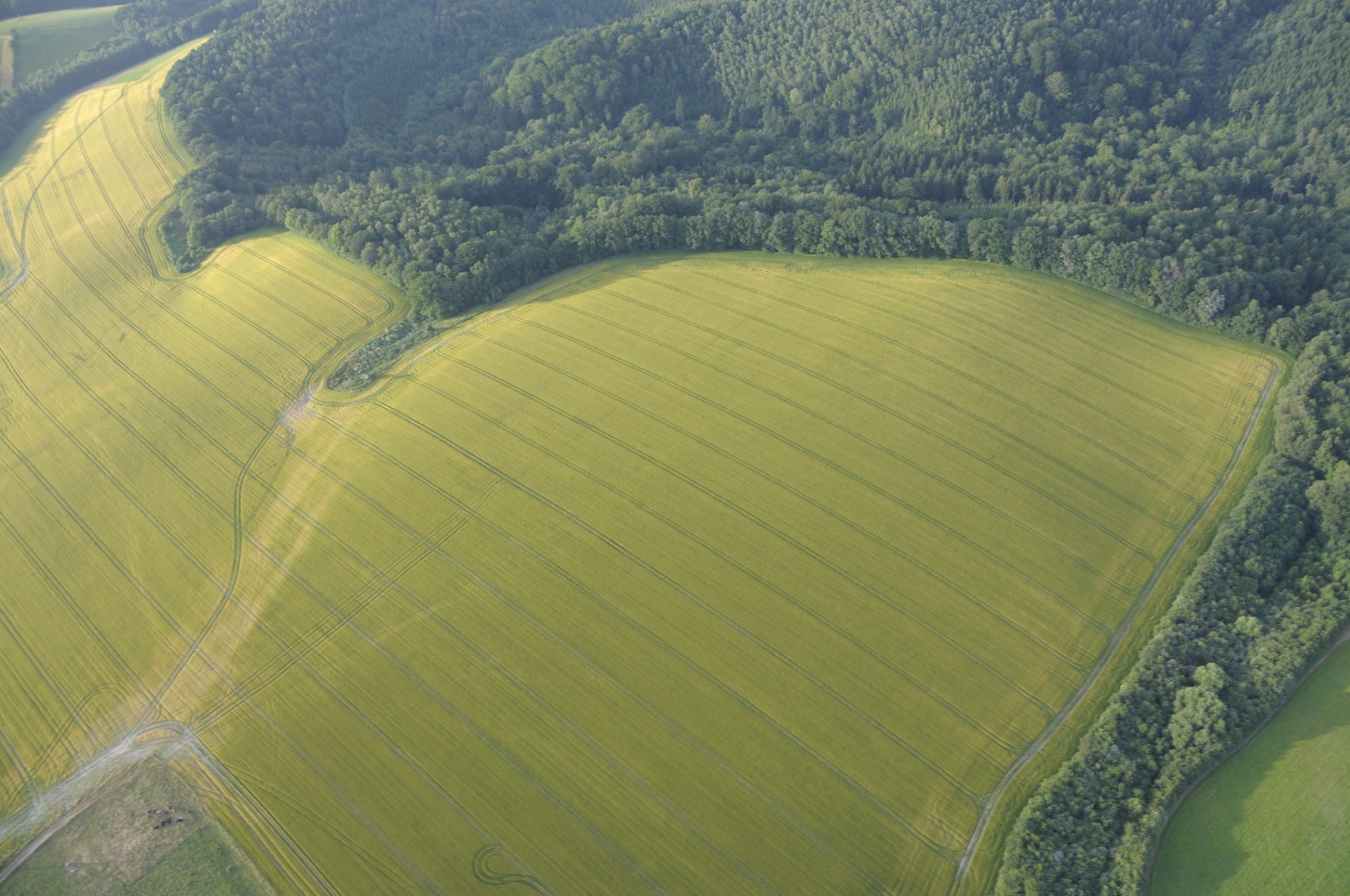 Impressionen auf dem Rückflug nach Taucha