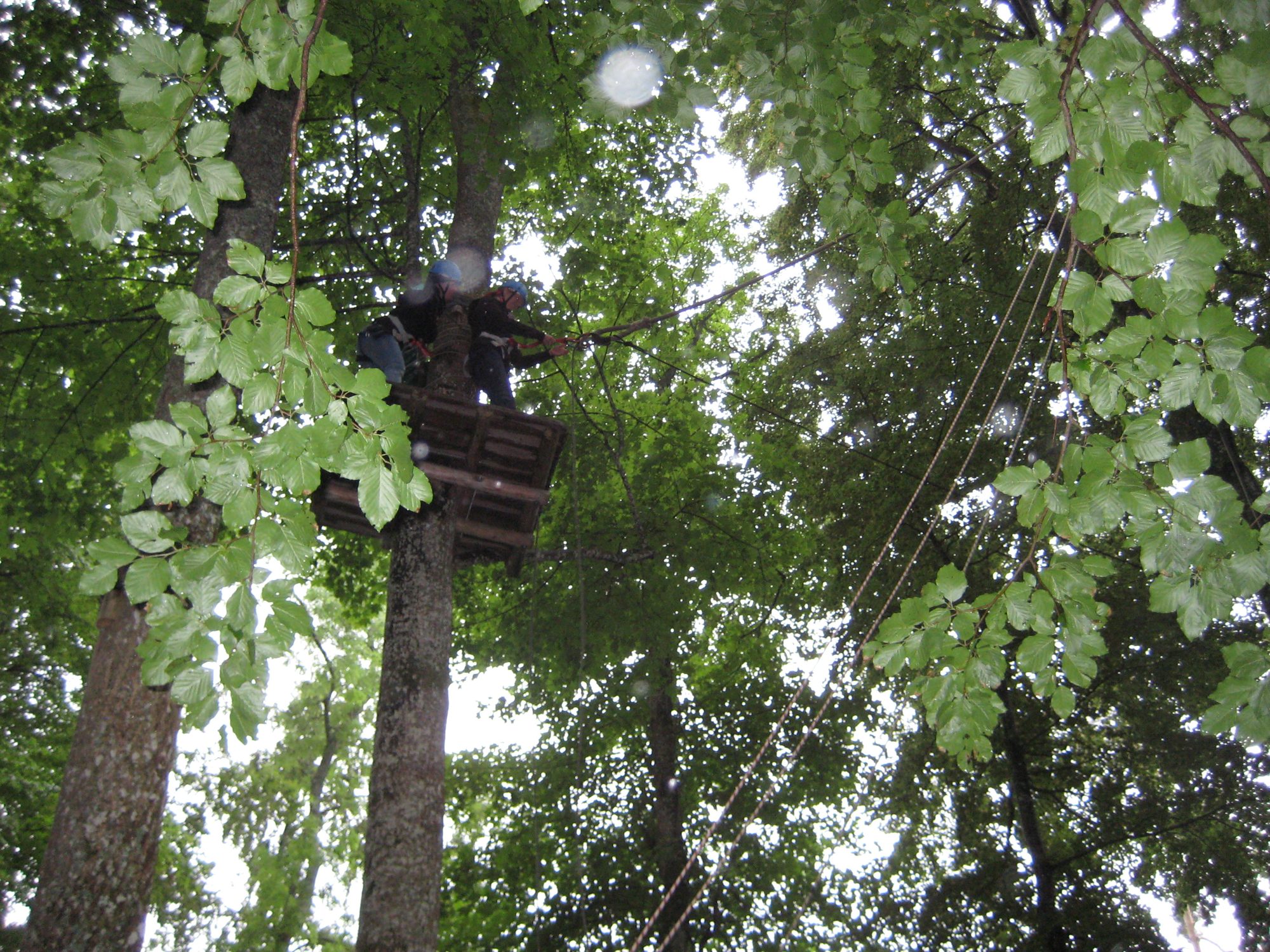 Jetzt gehts abwärts!