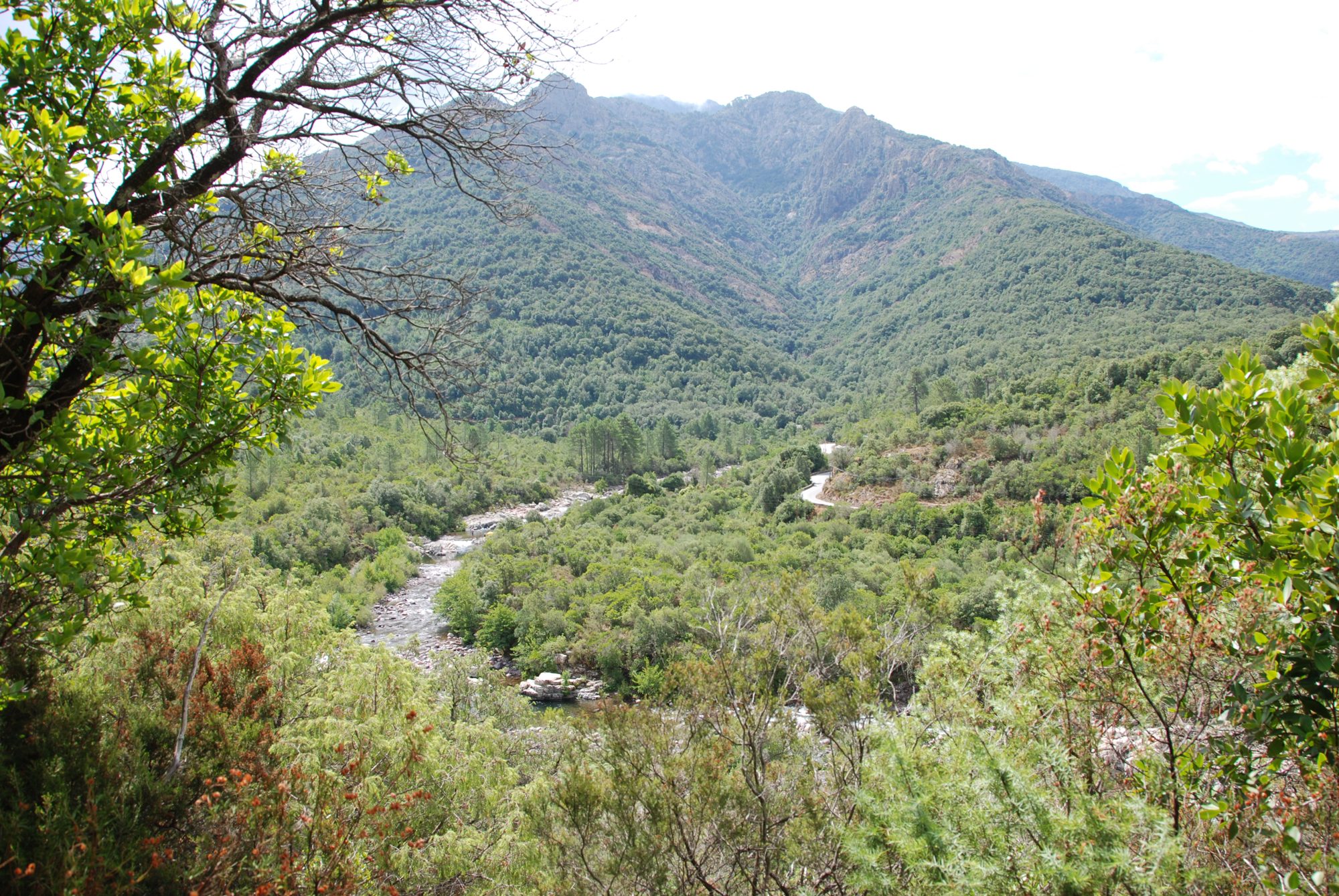 Wanderung im Fangotal auf Korsika