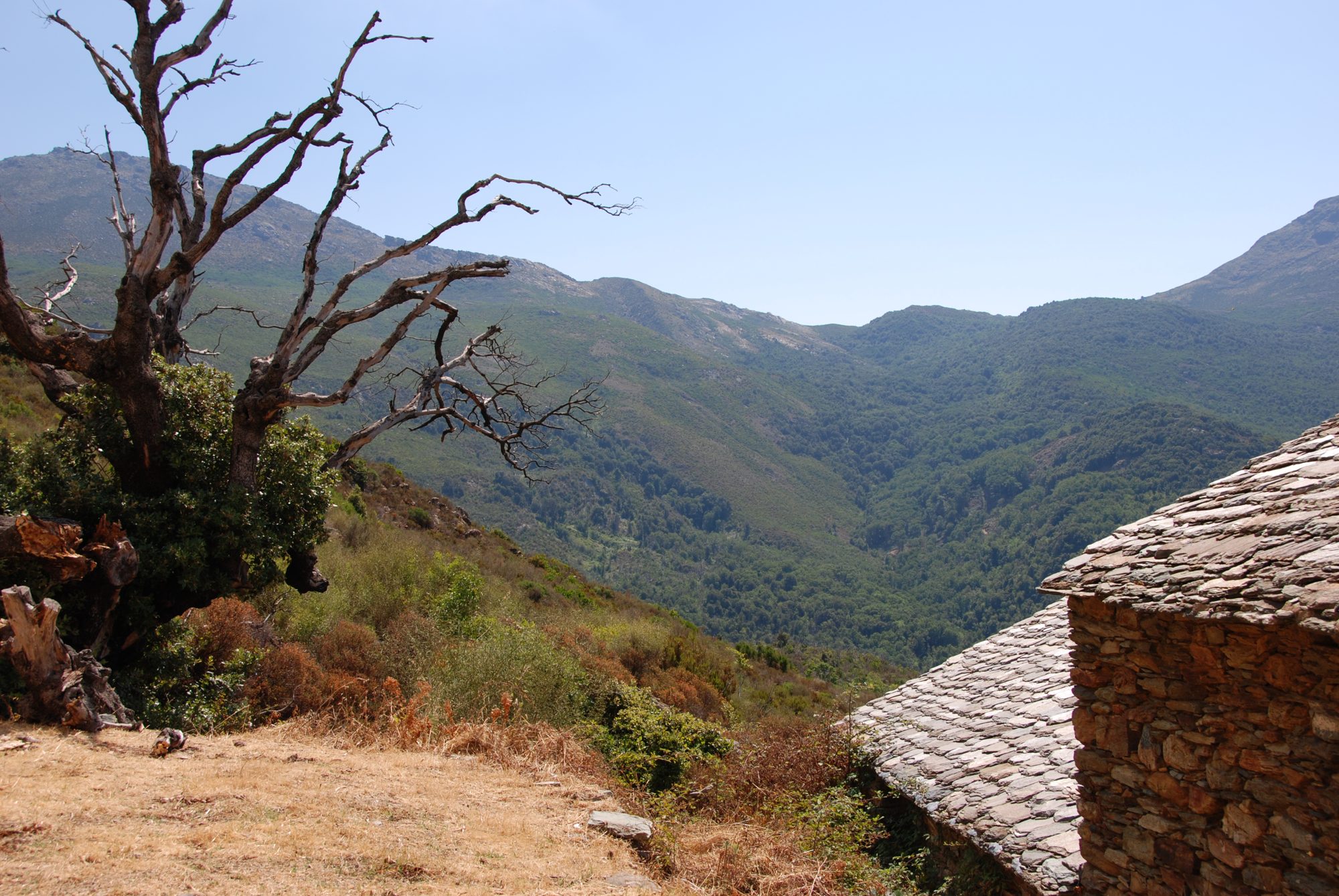 Wanderung am Cap Corse in Richtung Monte Stello