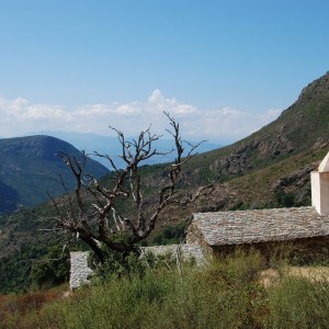 Wanderung am Cap Corse in Richtung Monte Stello